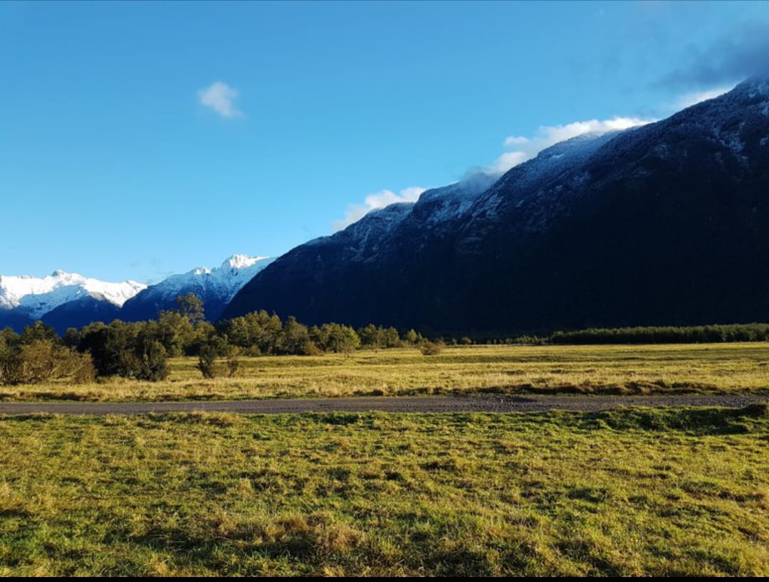 IMG-20250120-WA0002