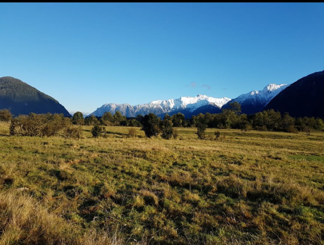 IMG-20250120-WA0006