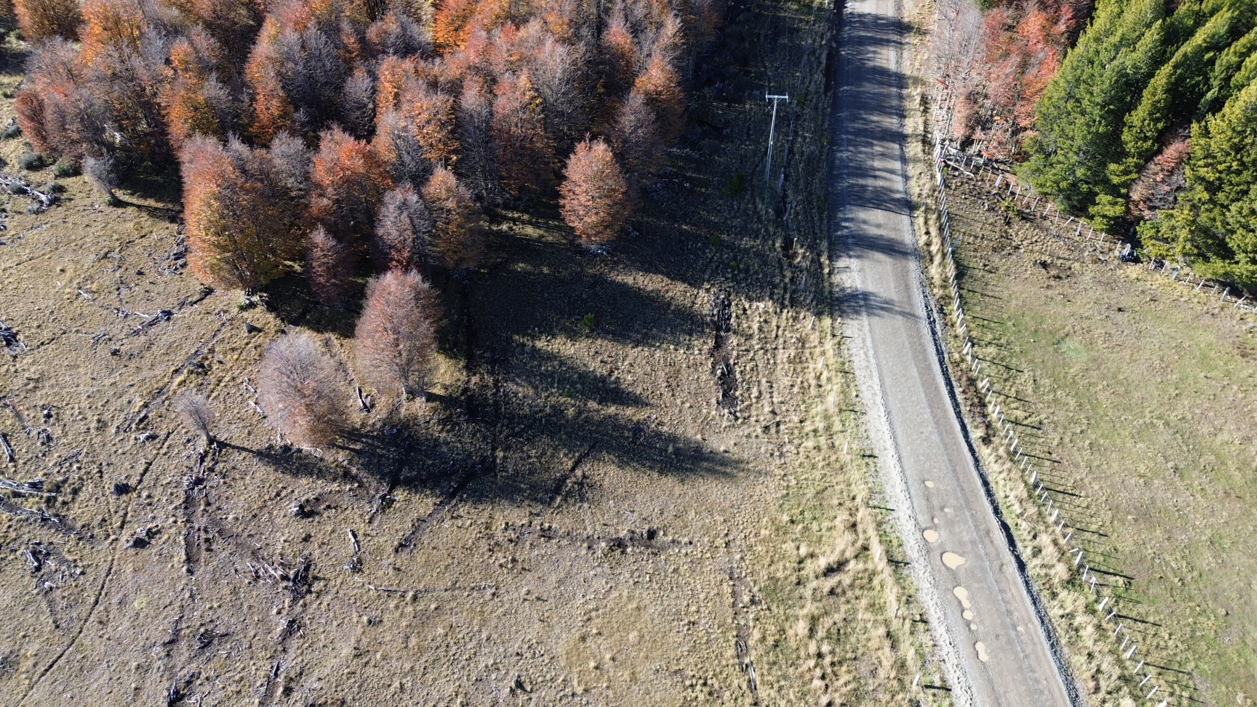 DCIM101MEDIADJI_0686.JPG