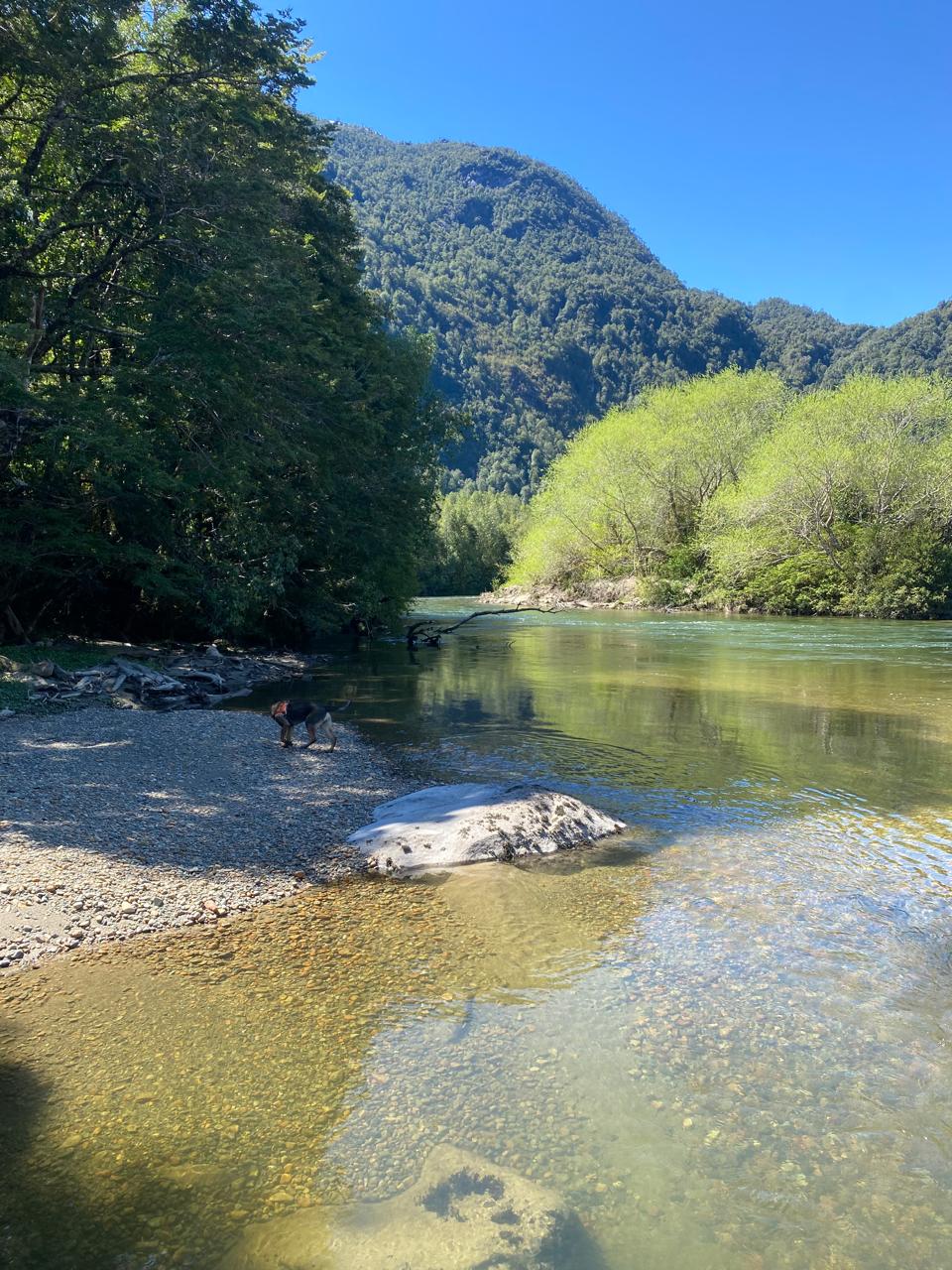 Parcela 5000m2 Con Orilla de Río, Camino Puerto Cisnes